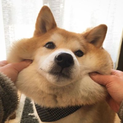 pfp