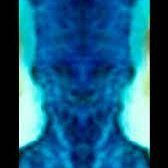 kol pfp