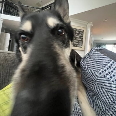 pfp