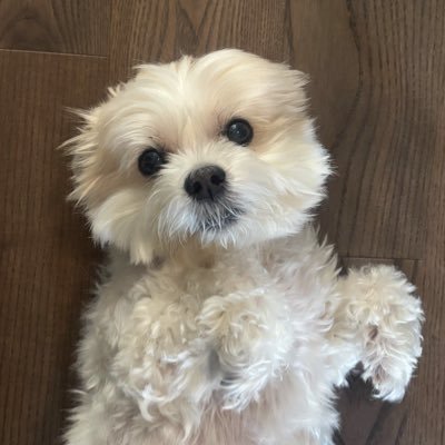 pfp